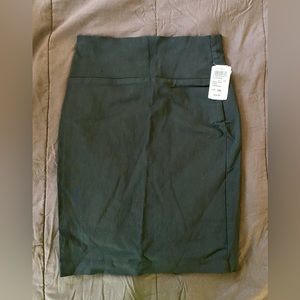 Brand New Windsor Pencil Skirt